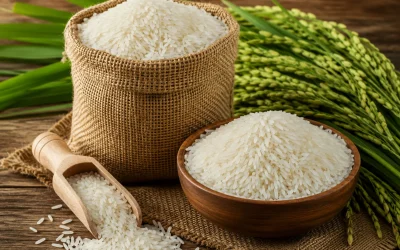 rice-image
